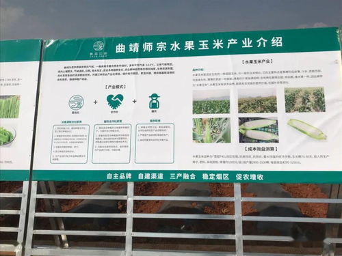 推廣有機(jī)肥改良土壤結(jié)構(gòu)，云南國(guó)發(fā)助力師宗煙草綠色高質(zhì)量發(fā)展